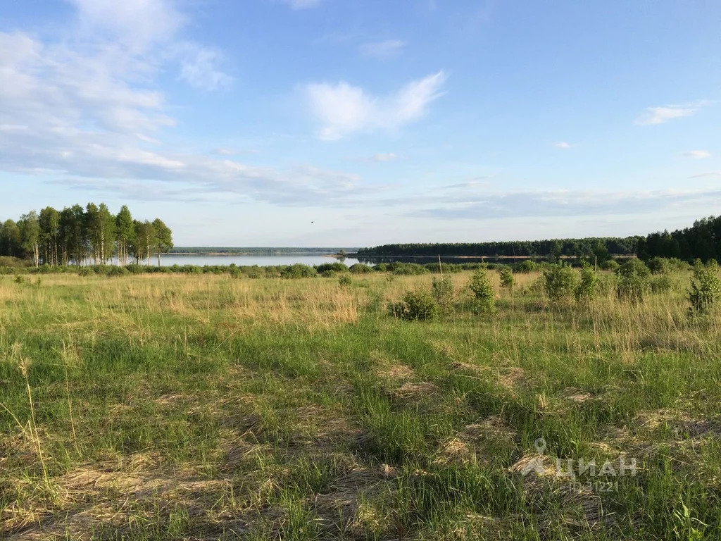 Аржаники Смоленская. Аржаники Яузское водохранилище.