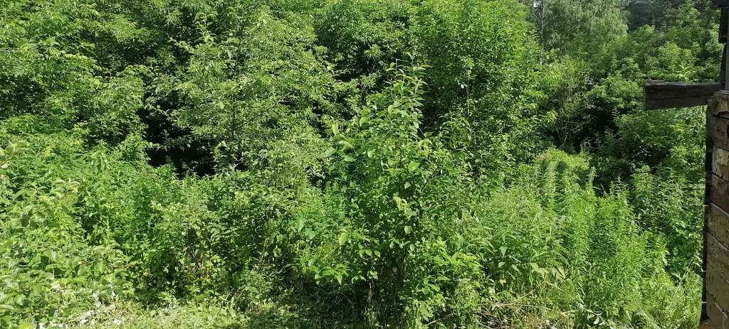 Продажа участка, Таргайский дом отдыха, Новокузнецкий район, ул. ... - Фото 25