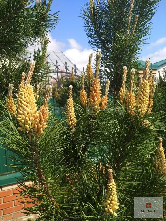 Продажа дома, Калинино, Высокогорский район, ул. Озерная - Фото 20