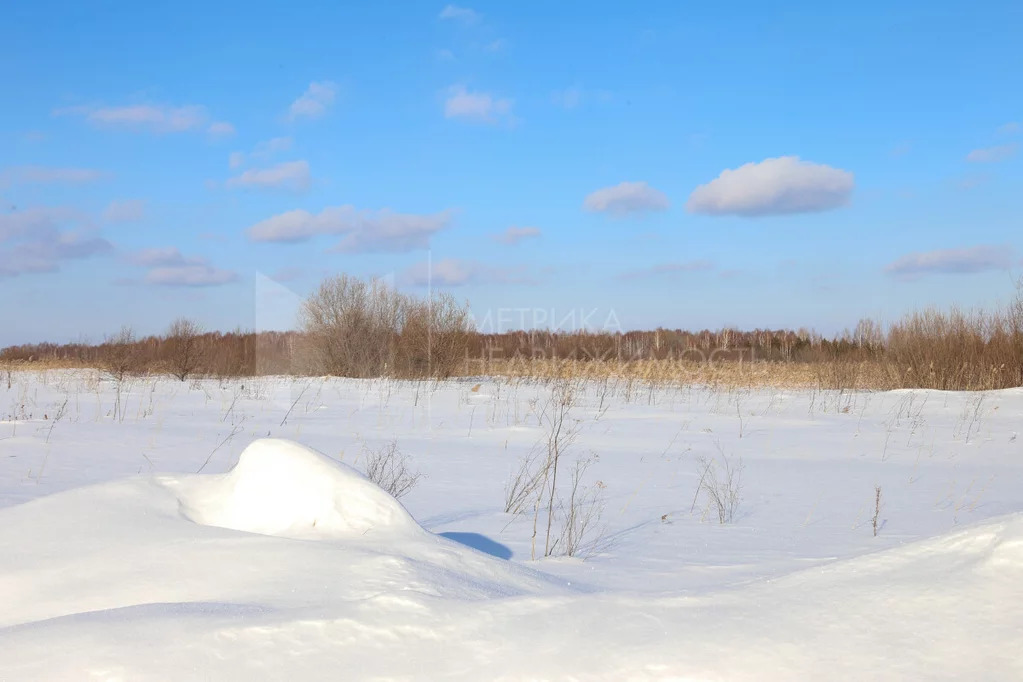 Продажа земельного участка, Тюменский район, Тюменский р-н - Фото 8