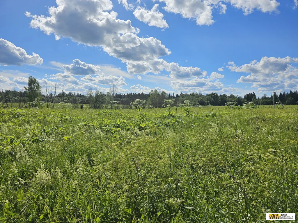 Продажа участка, Таблово, Рузский район - Фото 1