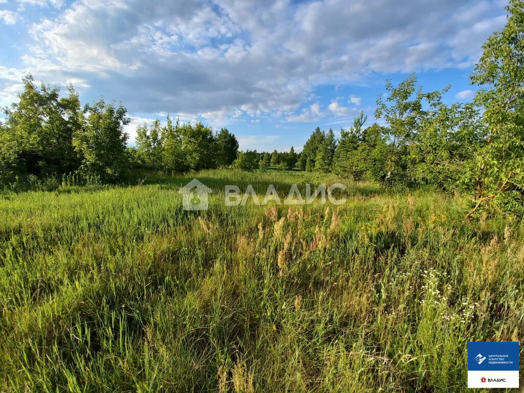 Продажа участка, Ужалье, Спасский район - Фото 5