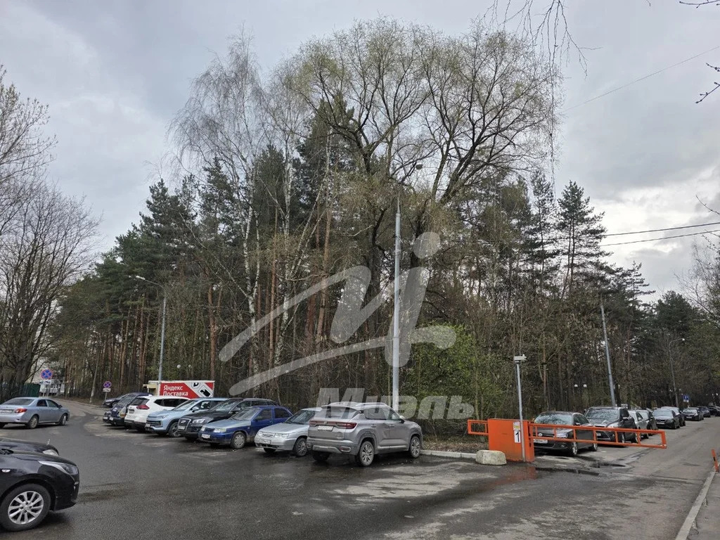 Продажа квартиры, м. Новогиреево, Свободный пр-кт. - Фото 32