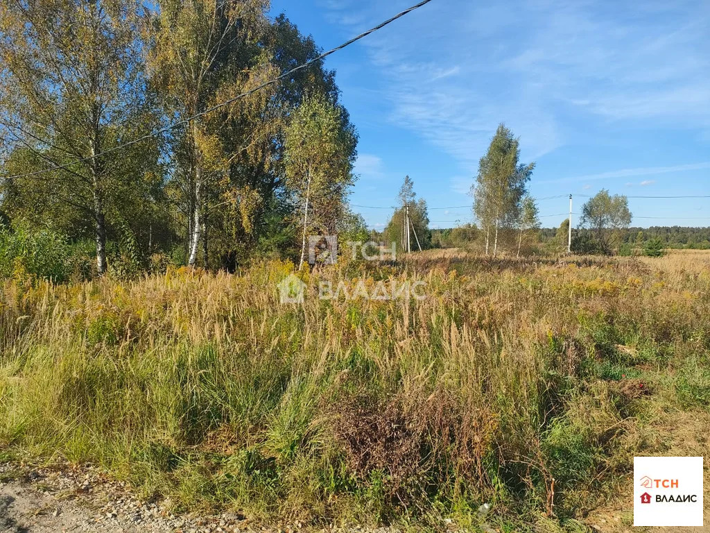 Богородский городской округ, Ногинск, Ново-Богородская улица,  земля ... - Фото 1