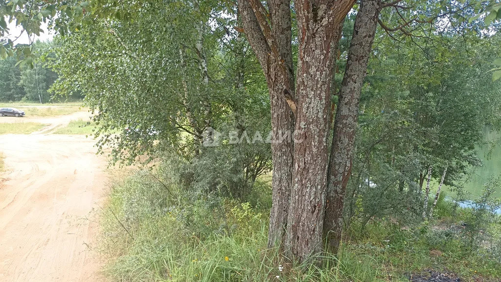 Сергиево-Посадский городской округ, садовое товарищество Орбита,  дом ... - Фото 36