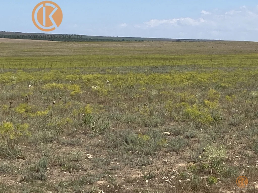 Продажа участка, Оленевка, Черноморский район, 1 - Фото 0