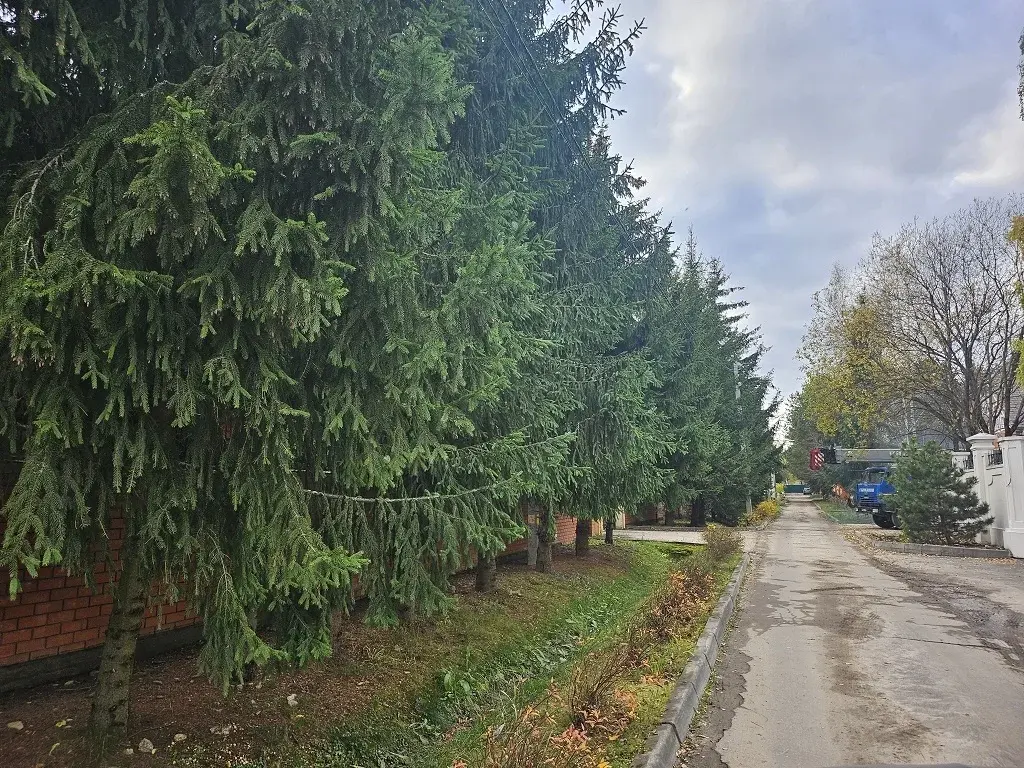 Продажа участка ижс 9 сот на Рублевке в Солослово - Фото 8