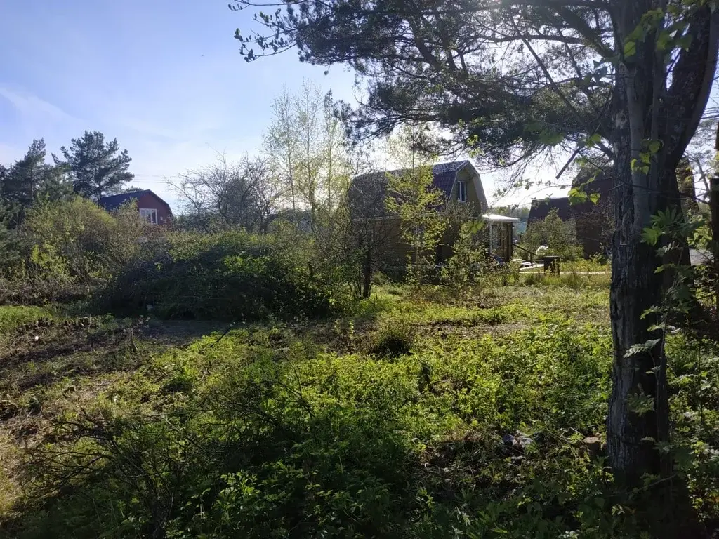 Прогноз погоды в борисовой гриве на неделю. Прогноз погоды в борисовой гриве на неделю