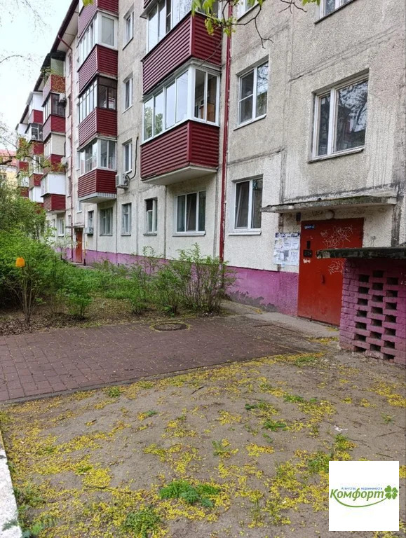 Продажа квартиры, Раменское, Раменский район, ул.Михалевичав - Фото 9