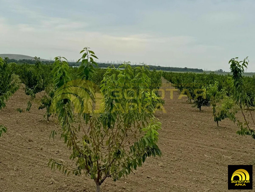 Продажа участка, Старотитаровская, Темрюкский район - Фото 1