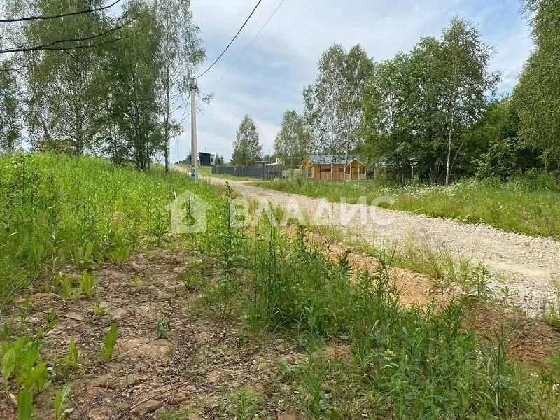 городской округ Клин, деревня Борисово,  земля на продажу - Фото 3