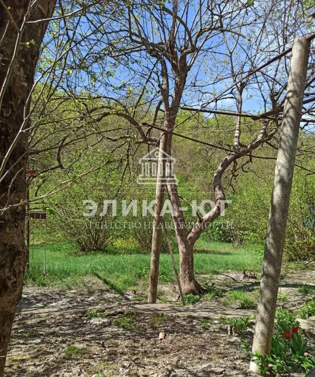 Продажа участка, Пляхо, Туапсинский район, ул. Лесная - Фото 3