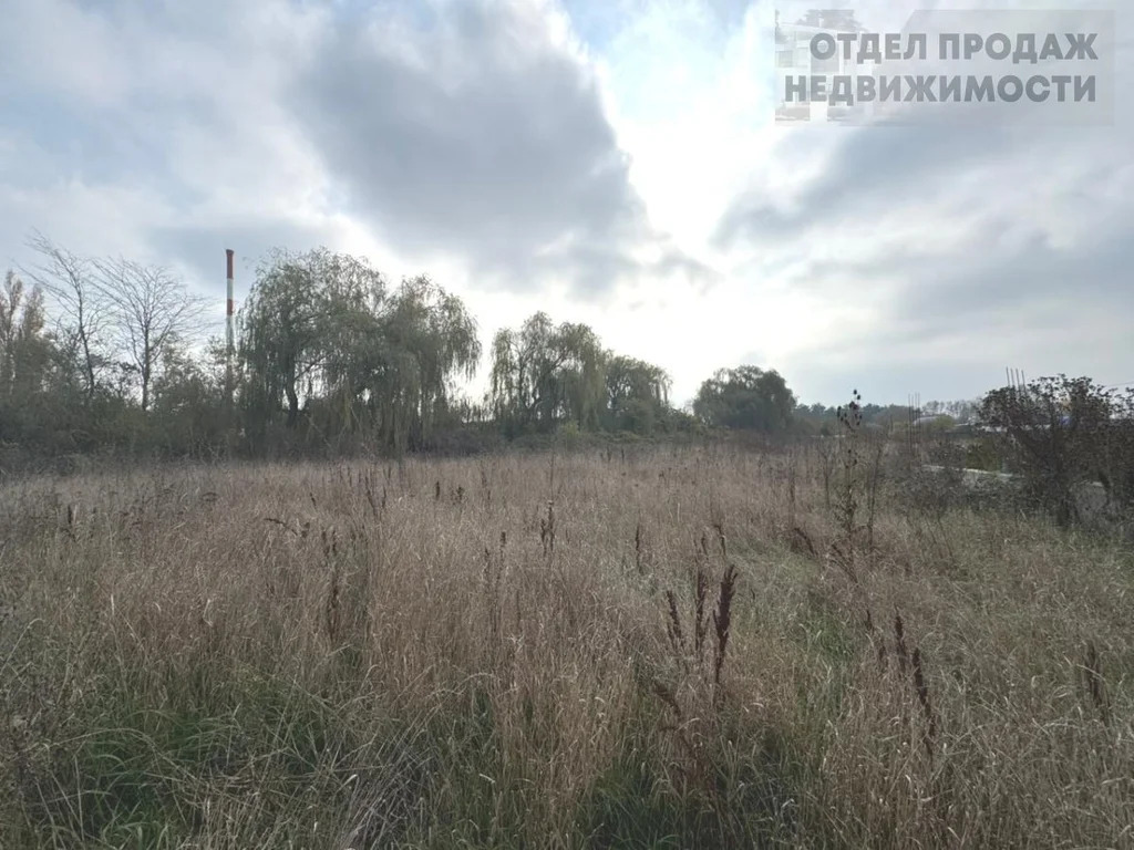 Участок в тихом районе - Фото 6