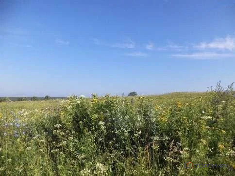 Продажа земельного участка, Ижевск, ул. Автономная - Фото 1