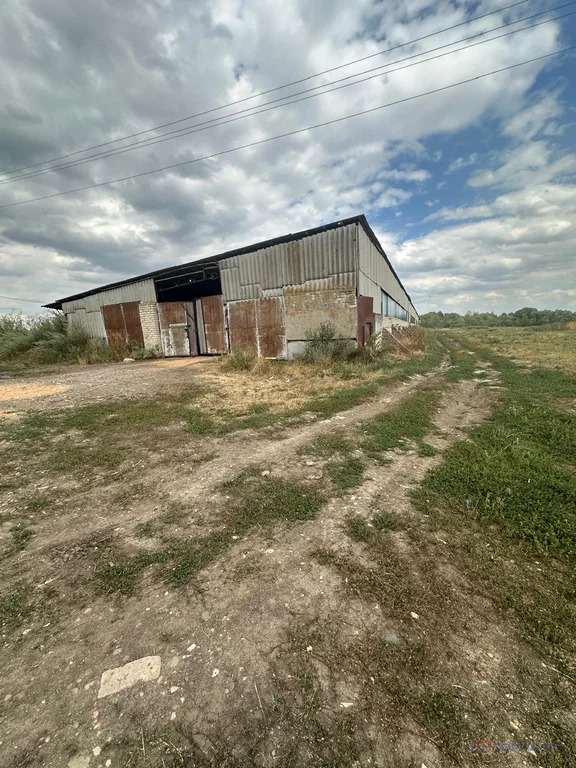 Продажа производственного помещения, Раздольное, Новоалександровский ... - Фото 2