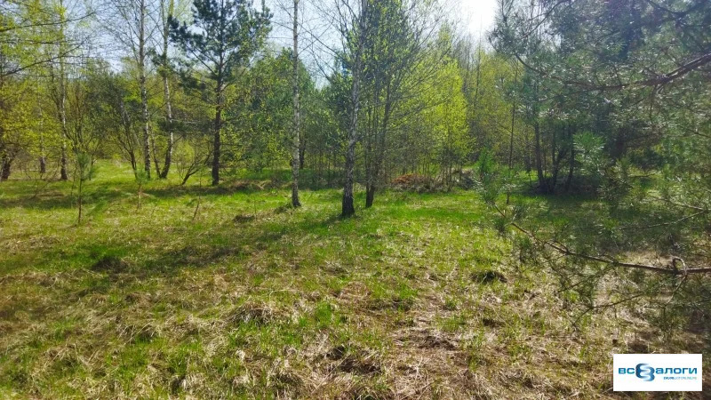 Продажа готового бизнеса, Серпухов, Московская обл. - Фото 0