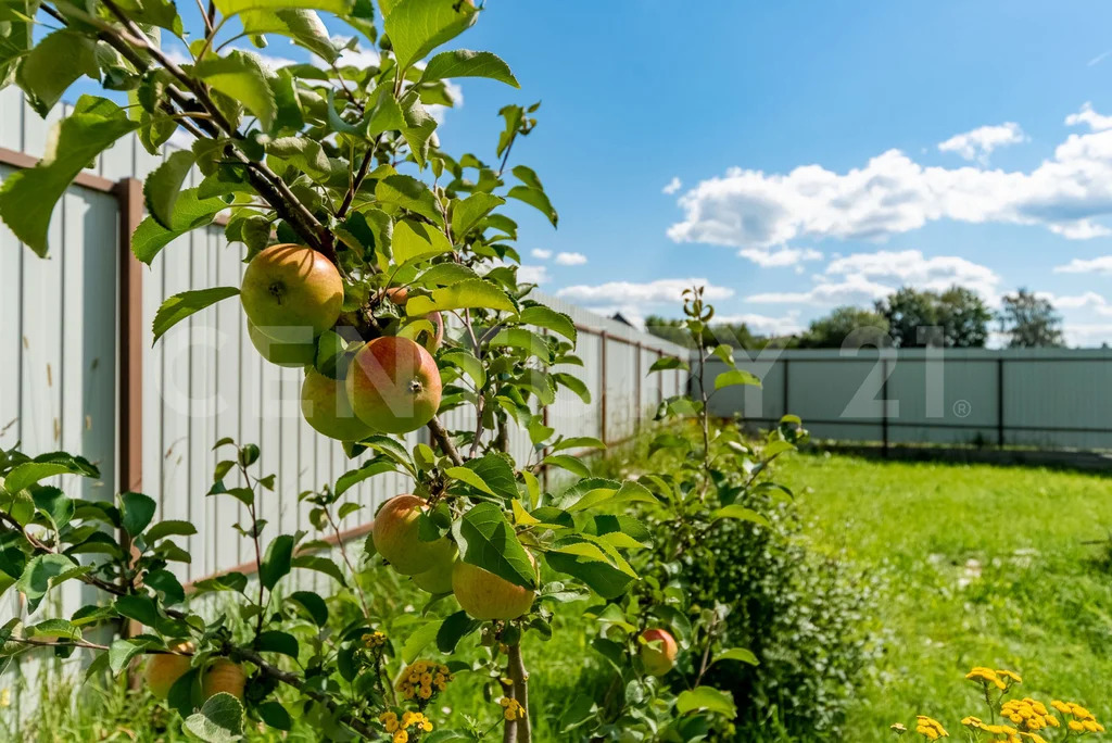 Продажа дома, Монделево, Гатчинский район, Осенний пер. - Фото 40