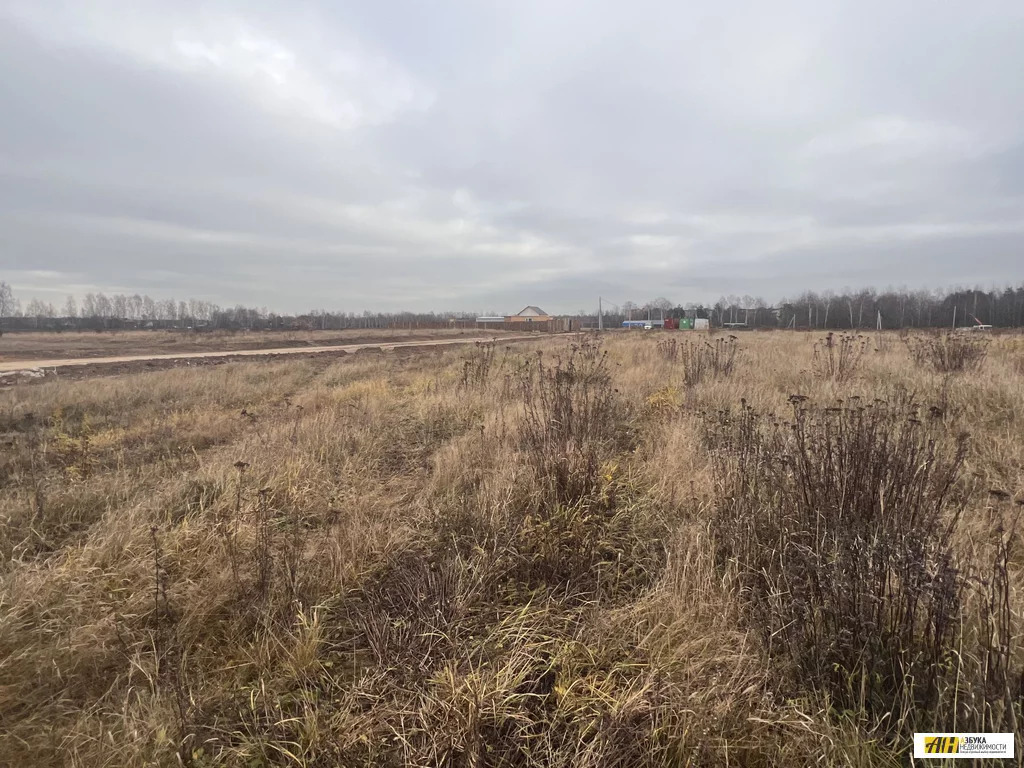 Продажа участка, Бабеево, Богородский г. о. - Фото 6