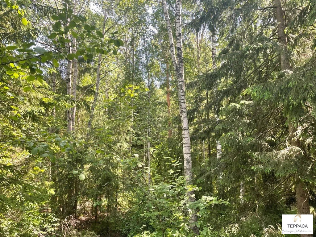 Продажа дома, Большое Коновалово, Ломоносовский район - Фото 14