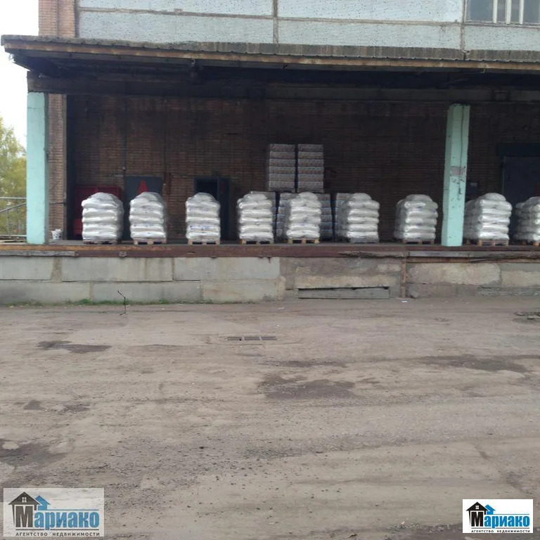 Аренда ПСН, м. Медведково, ул. Чермянская - Фото 18