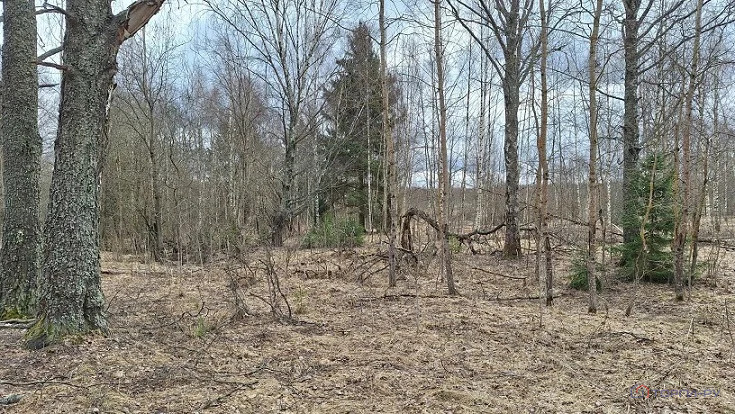 Продажа земельного участка, Давыдково, Зубцовский район - Фото 2