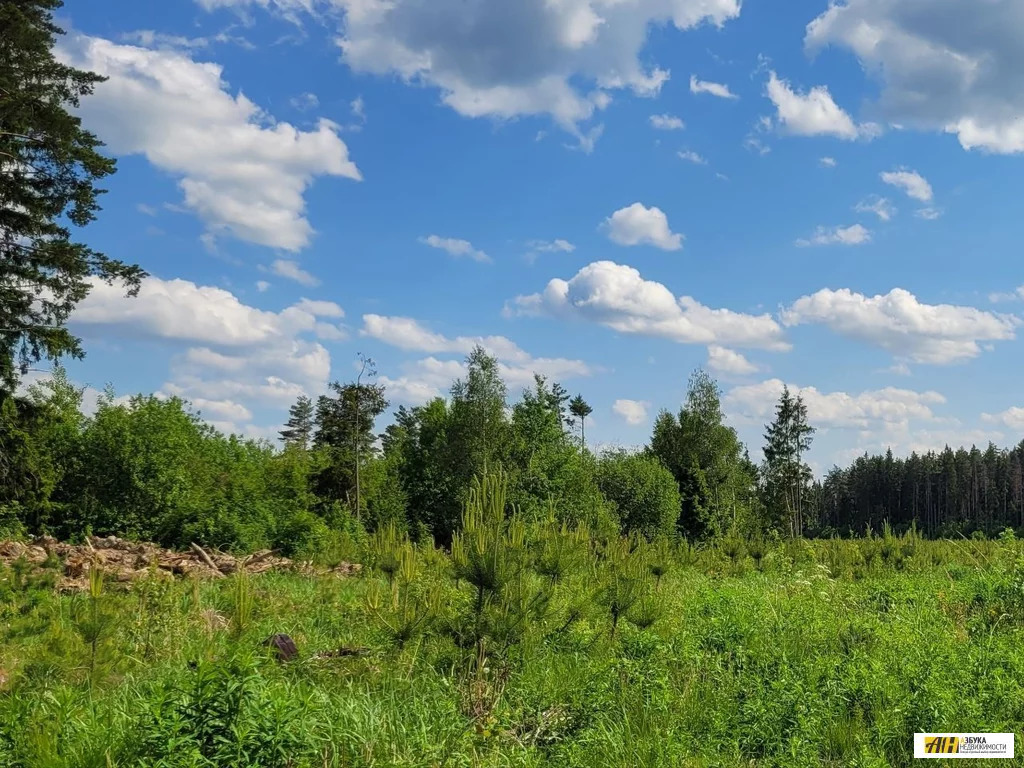 Продажа участка, Бакеево, Солнечногорский район - Фото 2