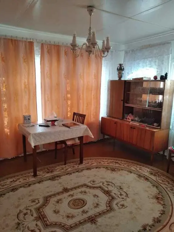 Курганская область Каргапольский р-он с. Брылино, ул. А. Антонова 18. - Фото 2