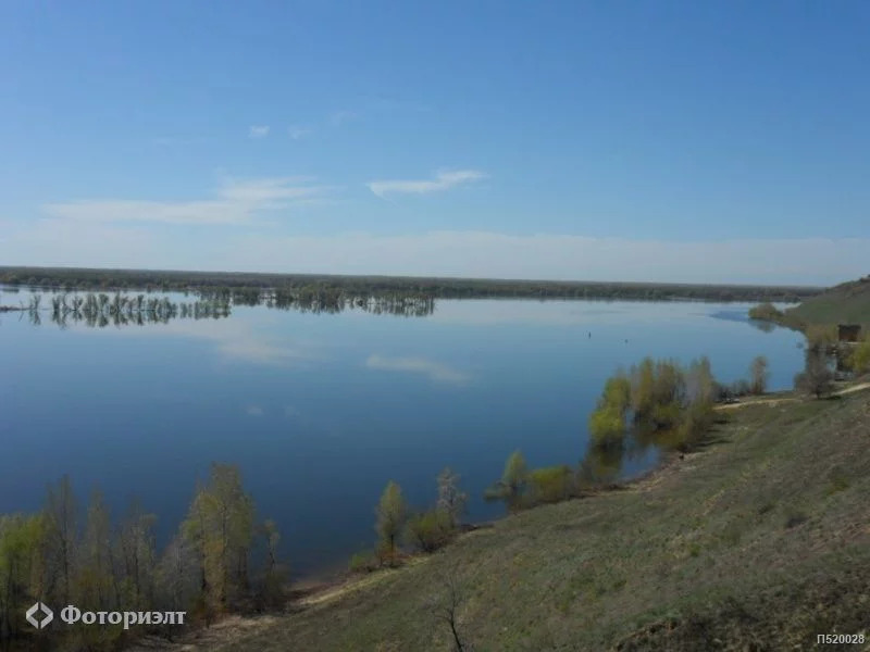 Погода кошели воскресенский