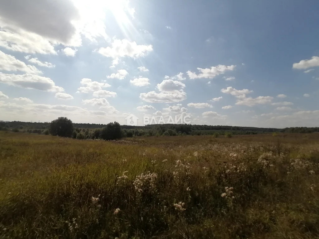 городской округ Владимир, село Мосино, Ленинский район,  земля на ... - Фото 4