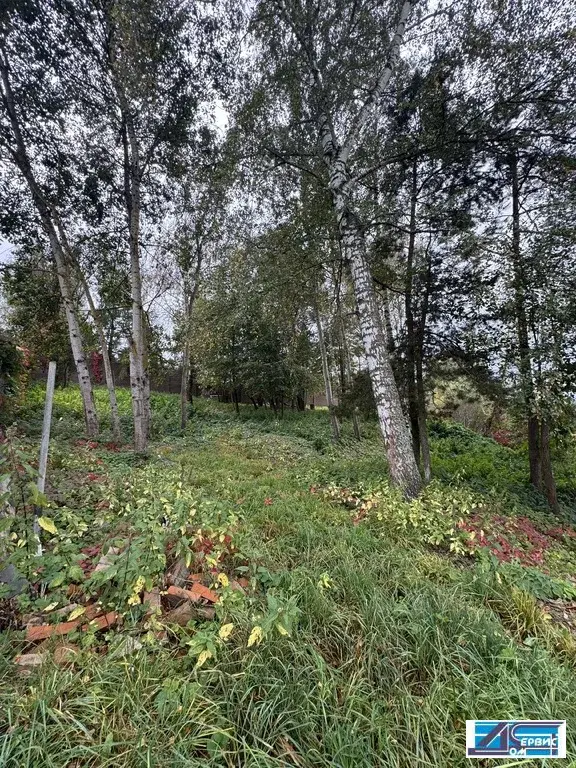продается земельный участок - Фото 3