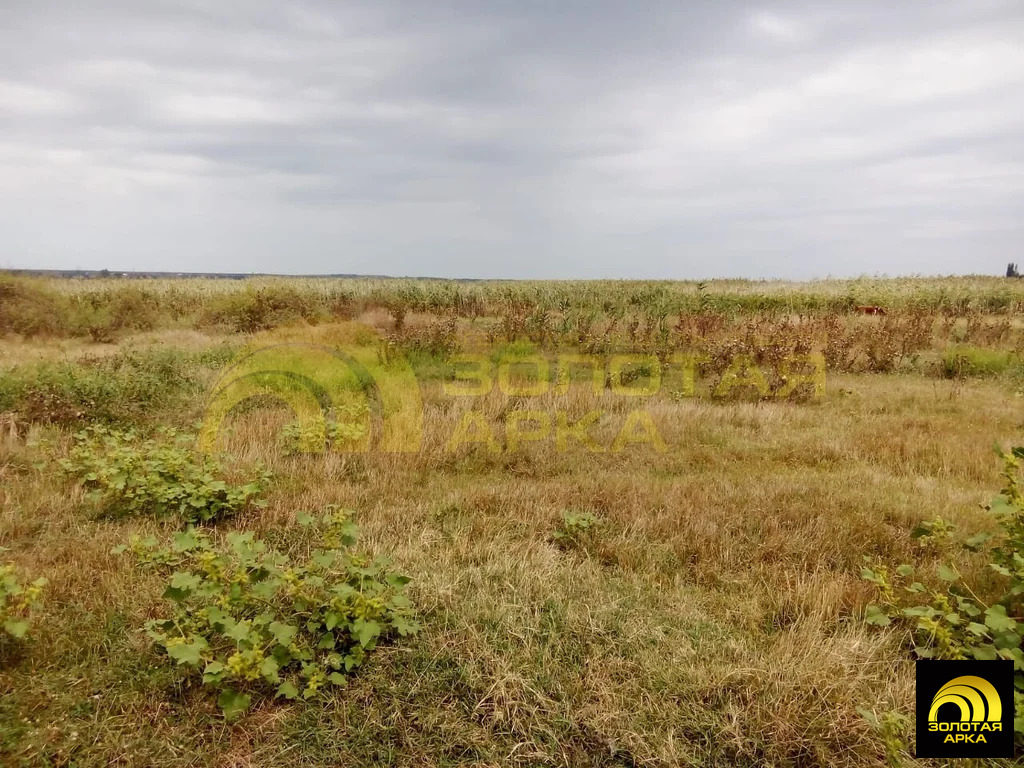 Продажа участка, Старотитаровская, Темрюкский район, ул. Залиманная - Фото 3
