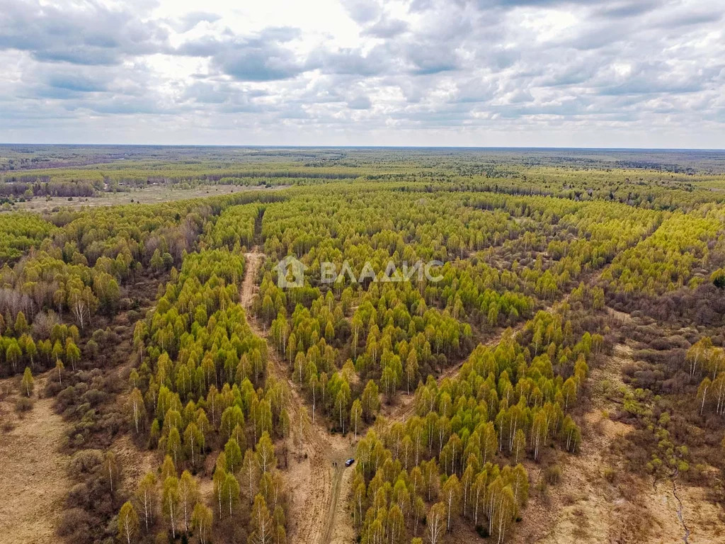 Судогодский район, деревня Кощеево, земля на продажу - Фото 6