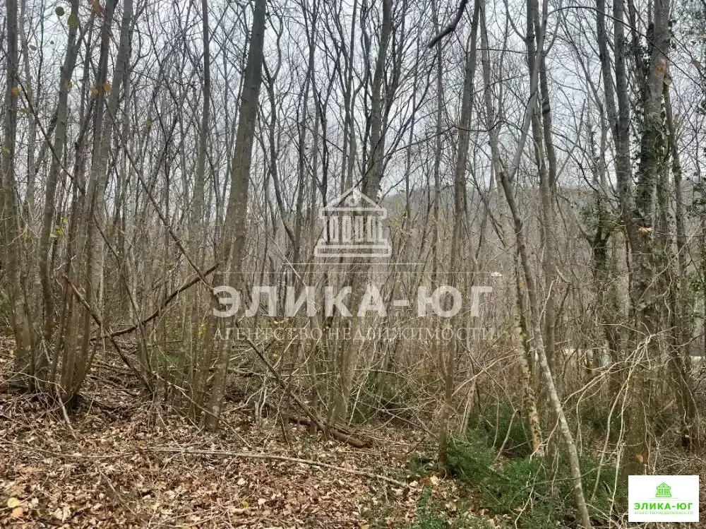 Продажа участка, Бжид, Туапсинский район, мкр. Юг - Фото 2