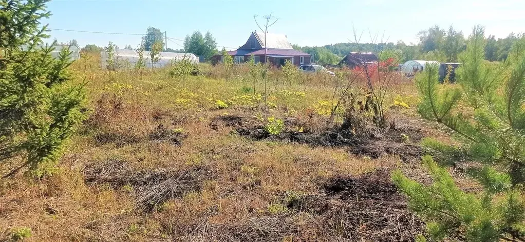 Дом, 2 га и фермерское хозяйство - Фото 10