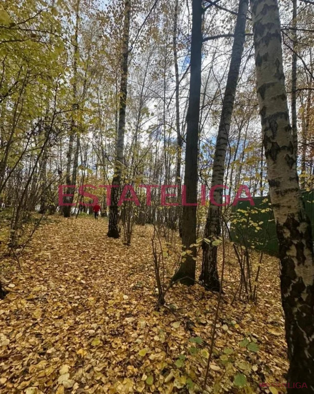 Продажа участка, Измайлово, Дмитровский район - Фото 2