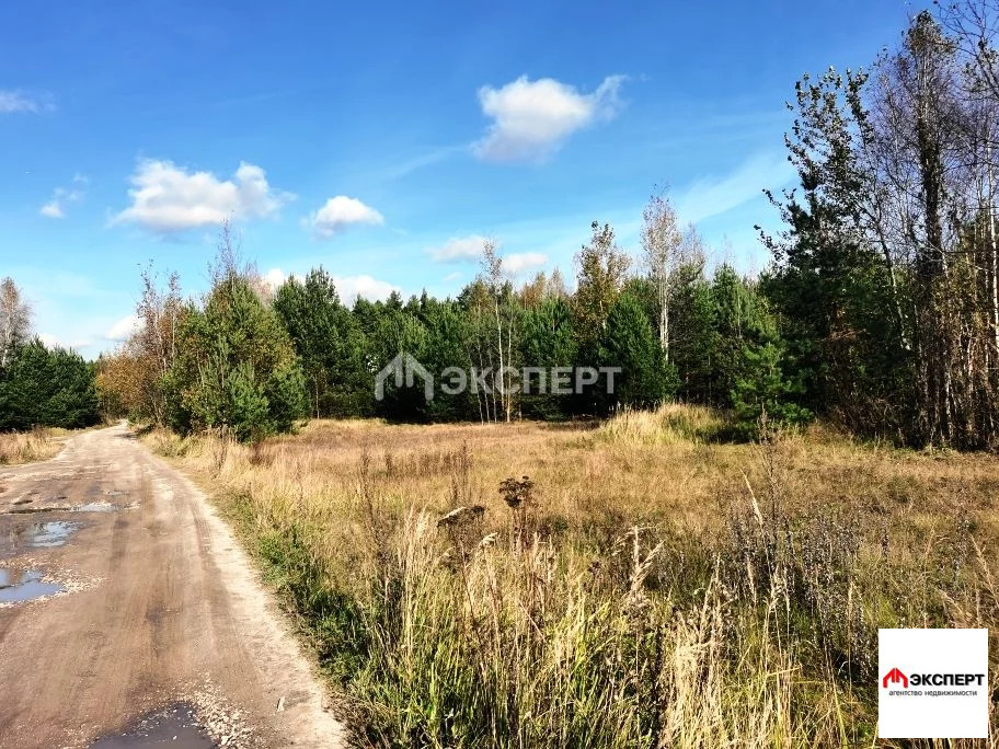 Участок 10 соток, ул. Куйбышева - Фото 6