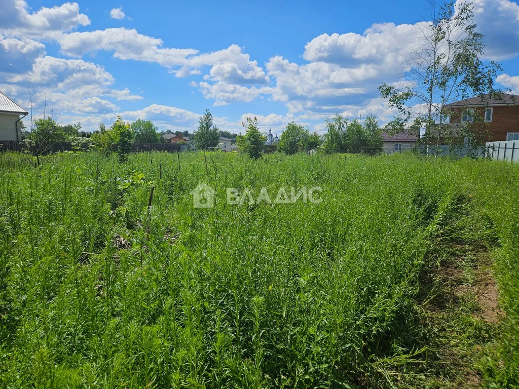 городской округ Пушкинский, село Ельдигино, микрорайон Новое ... - Фото 0