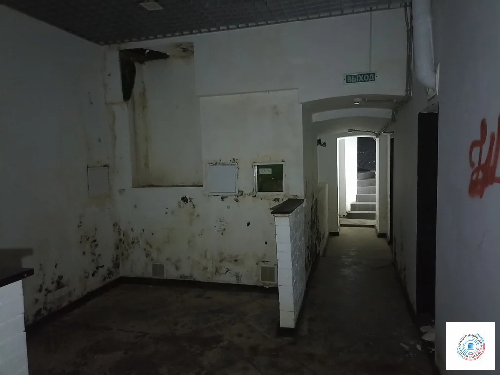 Помещение свободного назначения, 75.7 м - Фото 8