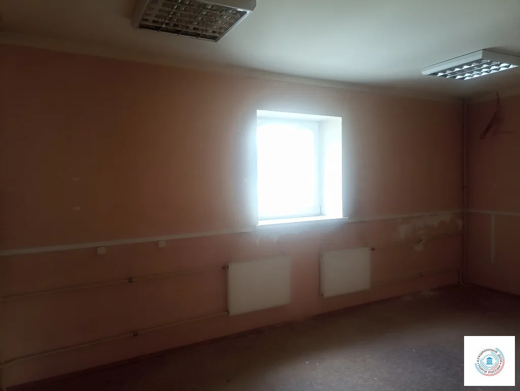 Помещение свободного назначения, 265.4 м - Фото 8