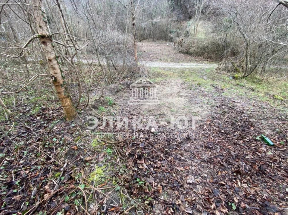 Продажа участка, Тенгинка, Туапсинский район, Прилесье - Фото 5