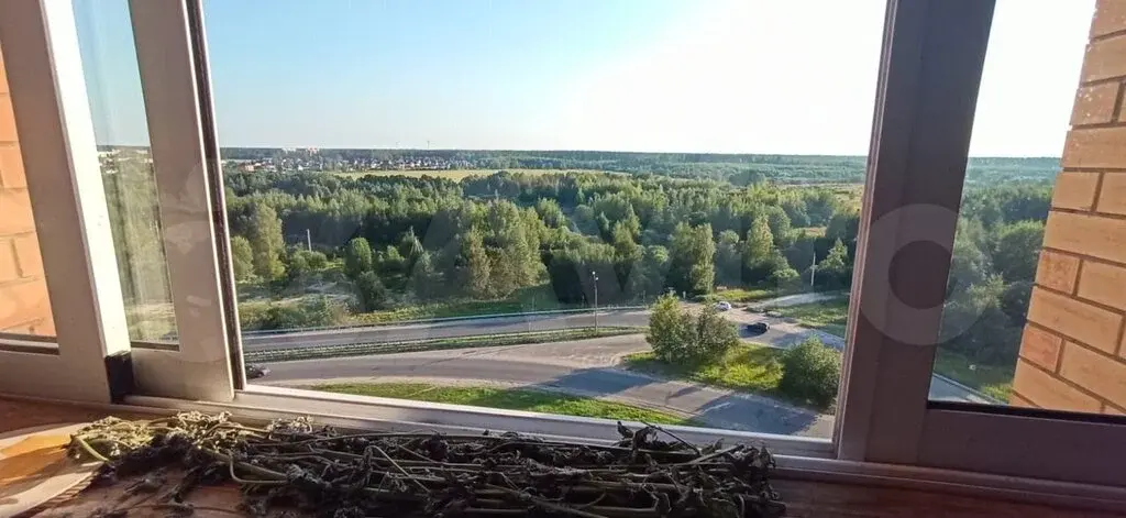 1-к. квартира, 45,2 м, на ул. Центральная 24, 10/16 эт. - Фото 6