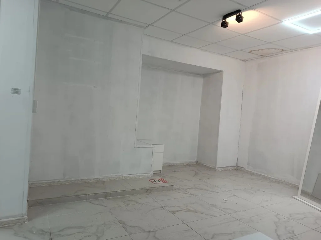 Продается ПСН 50.6 м2 - Фото 6