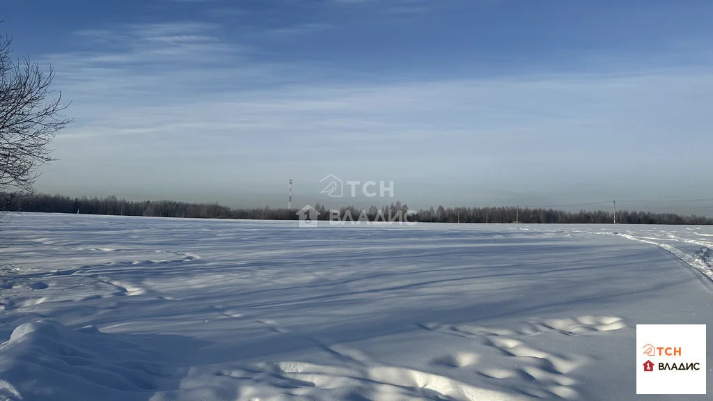 Продажа участка, Богородский г. о. - Фото 2