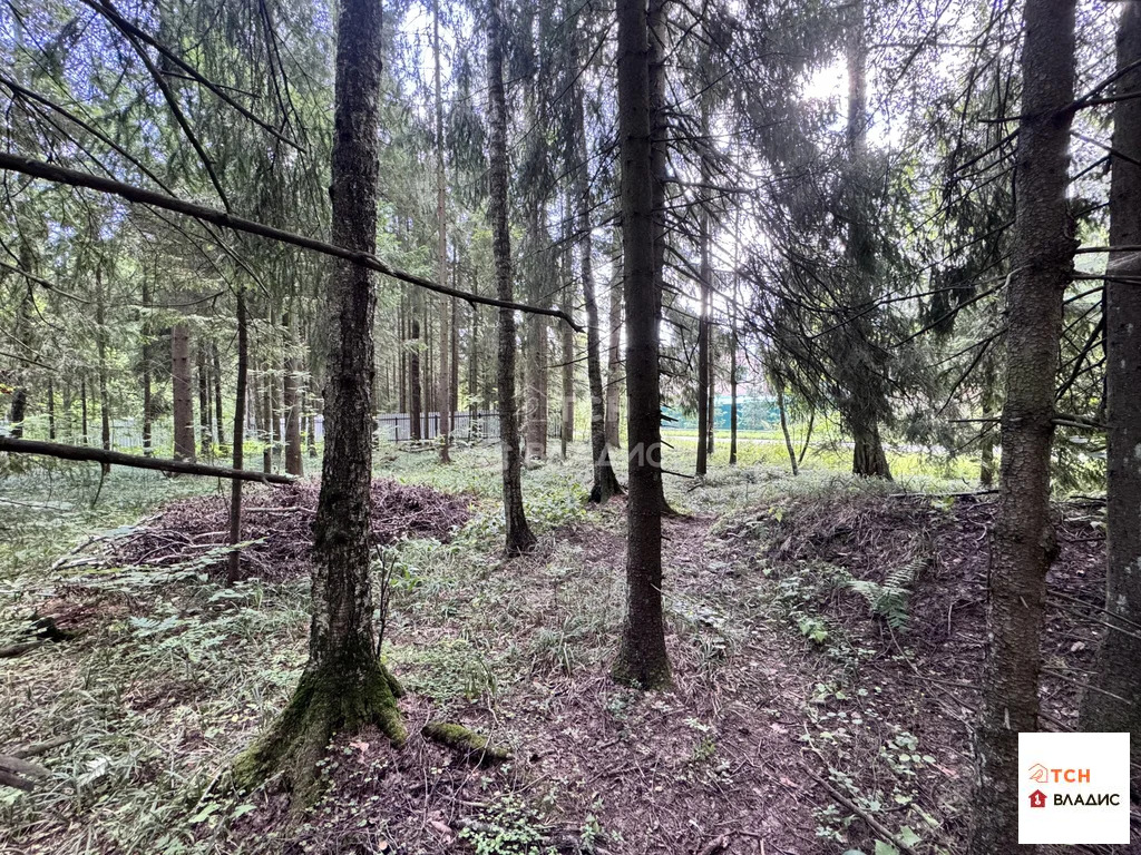 Продажа участка, Могильцы, Лотошинский район - Фото 2