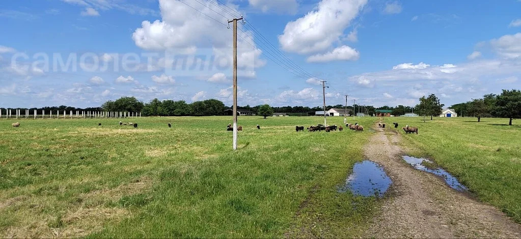 Продажа участка, Марьинский, Новокубанский район, Верхнекубанское ... - Фото 4