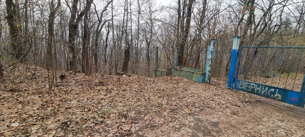 База отдыха "Лесные дали" - Фото 11