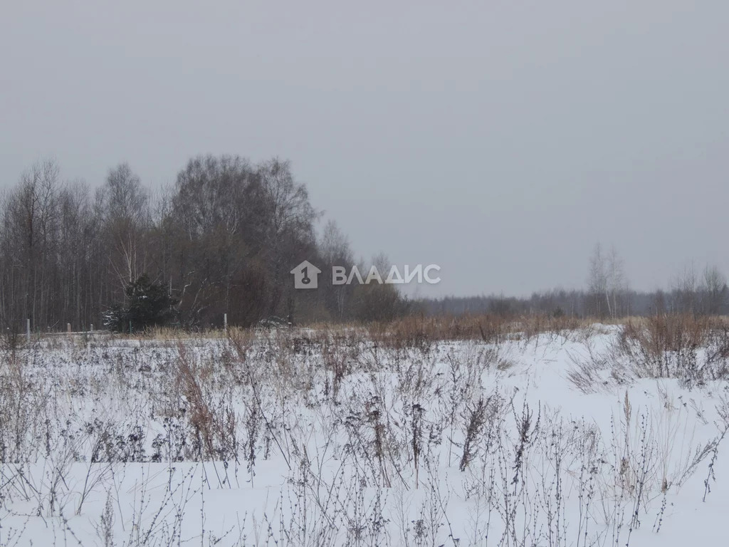Собинский район, село Березники, земля на продажу - Фото 6