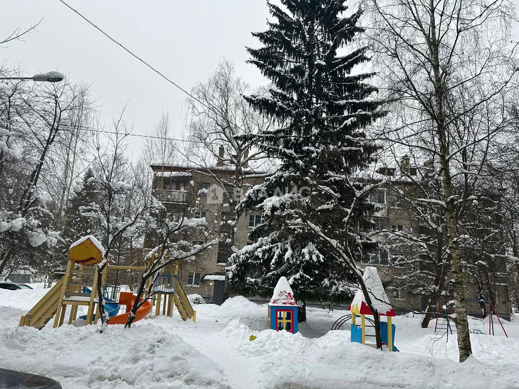 городской округ Солнечногорск, село Алабушево, Военно-Морская улица, . - Фото 12