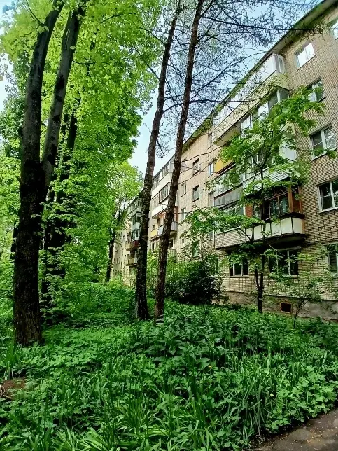 Продаю 1к.кв Большие Вяземы - Фото 17