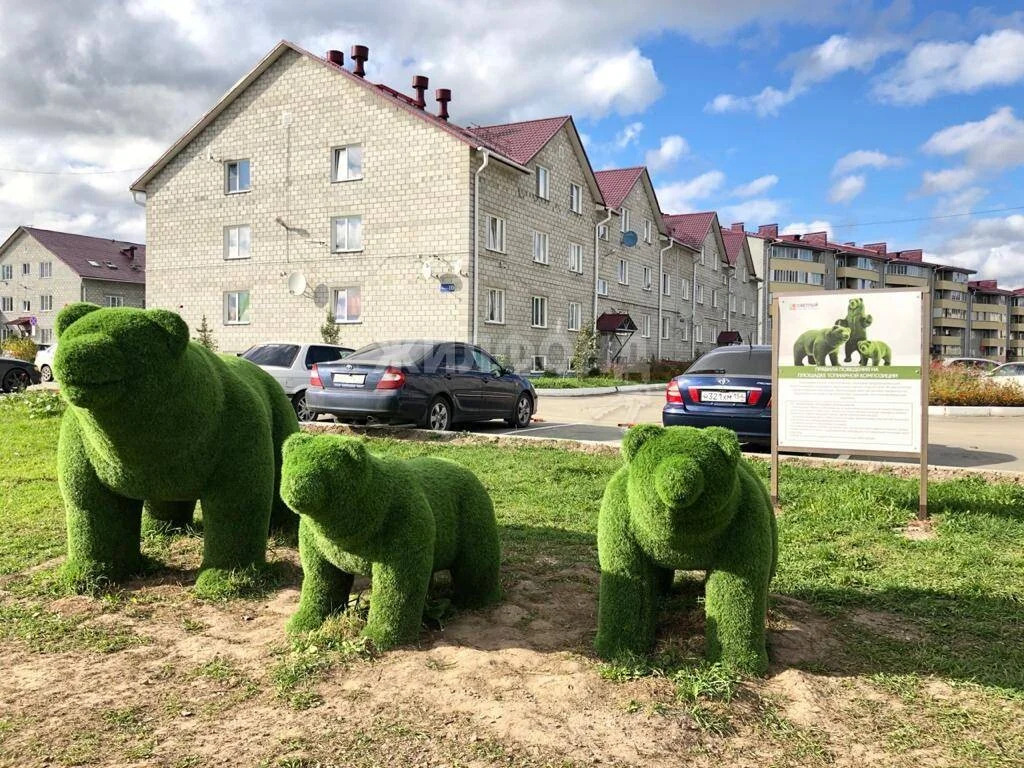 Продажа квартиры, Октябрьский, Мошковский район, ул. Локтинская - Фото 18